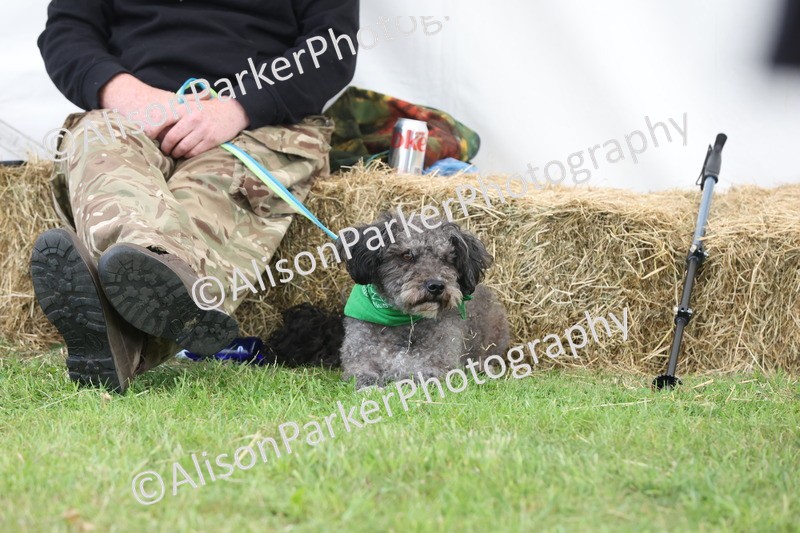 20250607-0015 - Misc