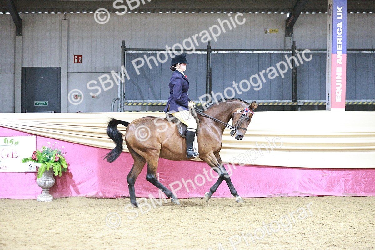 SBM_08023 - Class 11R - Regional Ridden Veteran