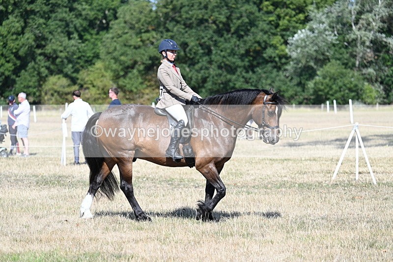 WJ7_3419 - Class 9 Mountain & Moorland Ridden