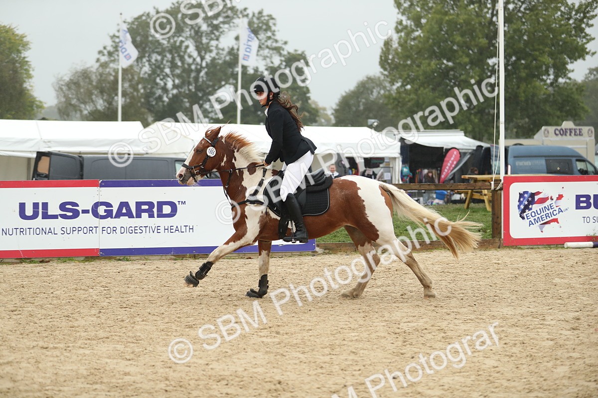 SBM_74158 - J16 - Junior Pony 75cm Championship