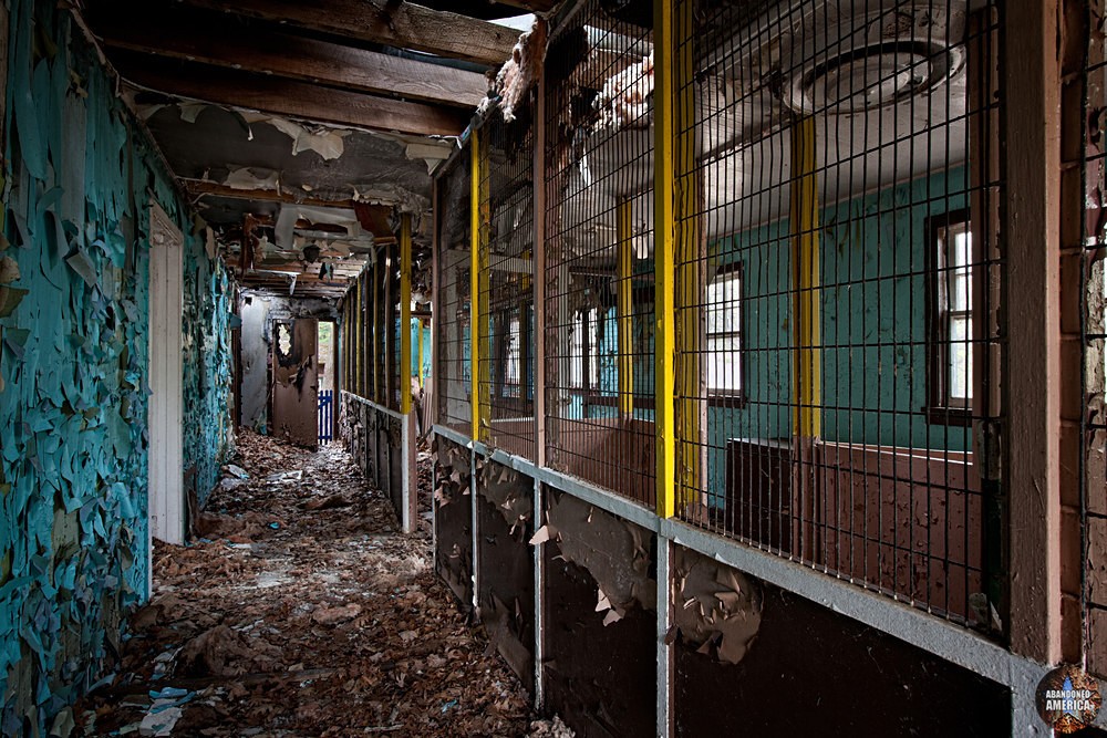 Catskill Game Farm (Catskill, NY) | Nursery Interior - Catskill Game Farm