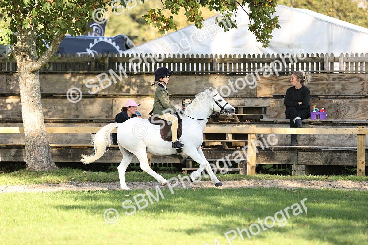 SBM_29410 - S7 - Novice & Newcomers Ridden Pony