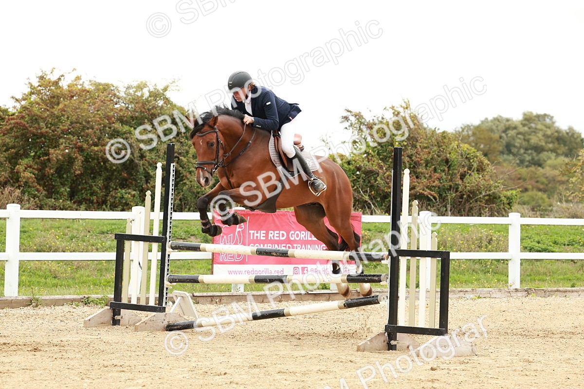 1I0A6991 - Class 2 - Senior British Novice