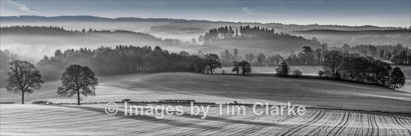 252A3248_BW - NewLands Corner