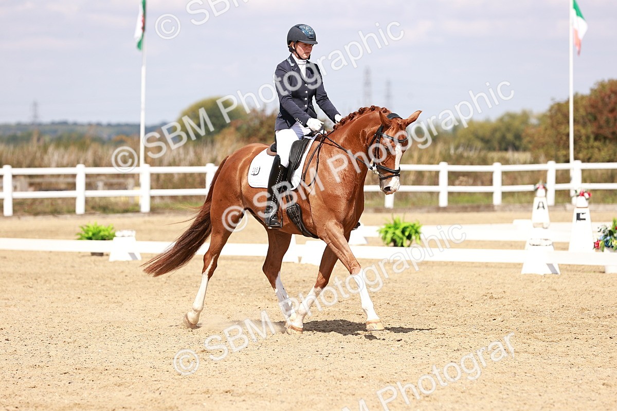 SBM_018433 - Class 17 - Novice 6