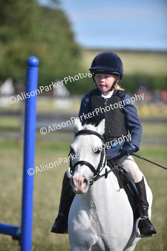 20260906-0960 - Class 7 - Absolute Novice Jumping 35cm
