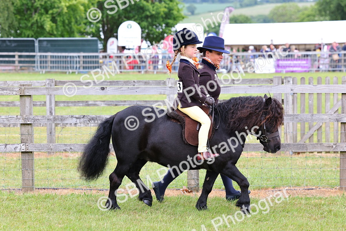 SBM_08086 - Class 42-43 - LIHS BSPS Heritage Working Sports Pony