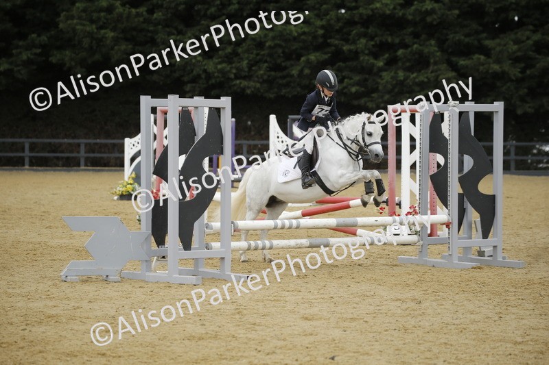 20250622-6375 - 60cm