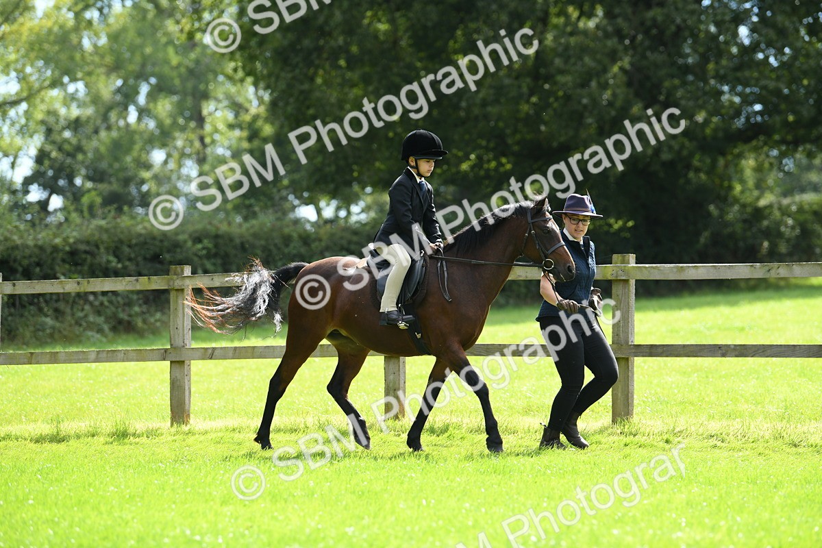 SBM_42531 - S20 - Lead Rein Mountain & Moorland Pony