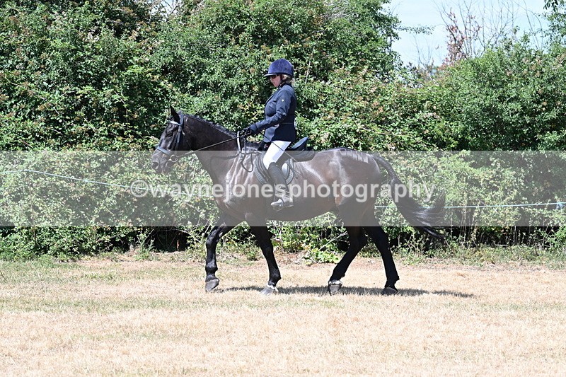 WJ7_2743 - Class 7 Riding Club Show Horse