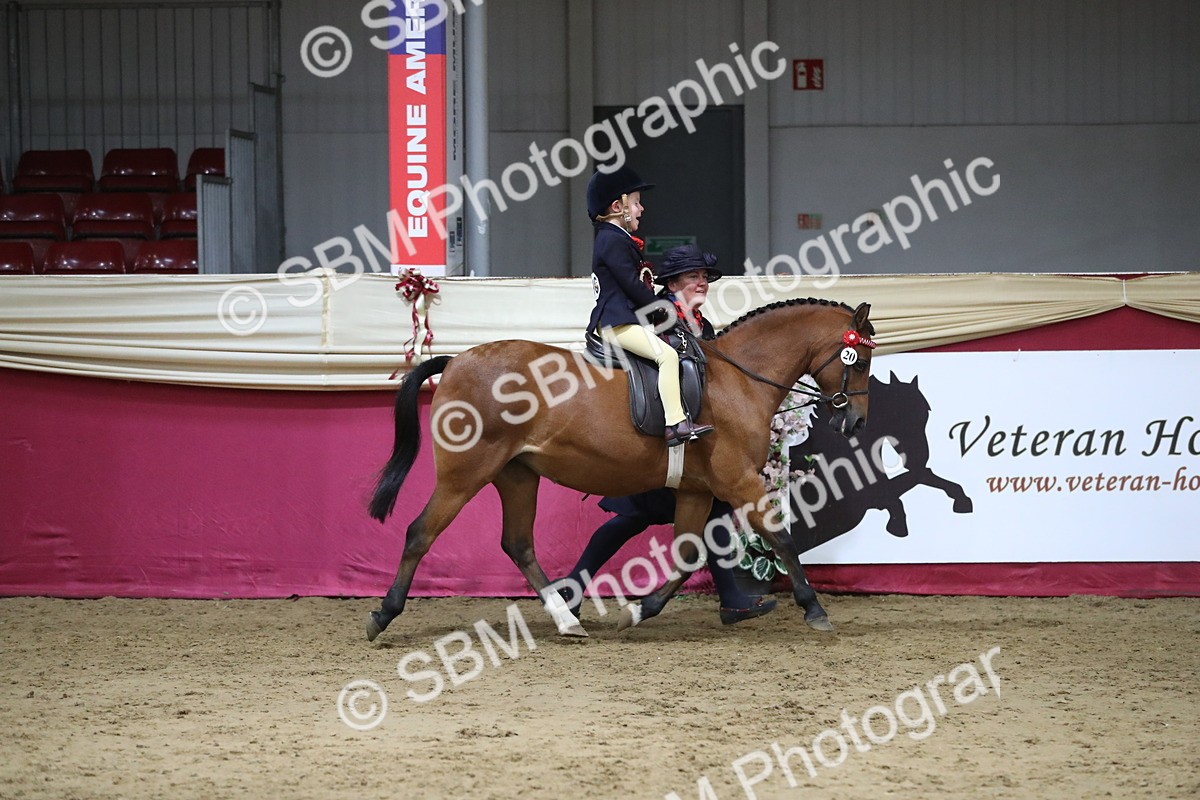SBM_08486 - Class 11R Regional Ridden Veteran