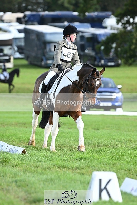 231020-101402-07295 - 467-WELLSHEAD.SQUIGGLE-Emily.Illing-DR