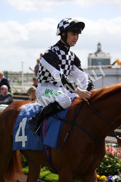 yr10062022r2-9 - Race 2 2.30pm SKF Rous Selling Stakes