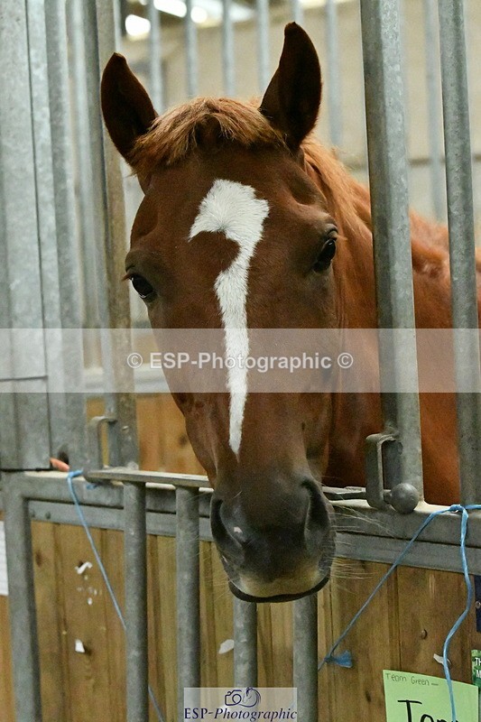 230804A-095437-01535 - Stable Shots