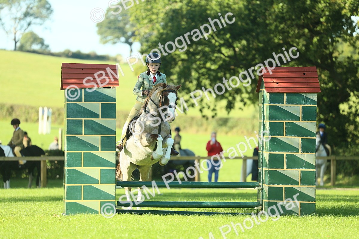 SBM_36367 - S29 - Novice & Newcomers Working Hunter Pony