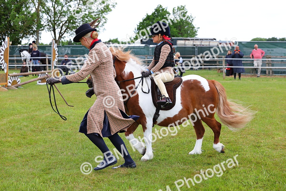 SBM_08226 - Class 42-43 - LIHS BSPS Heritage Working Sports Pony