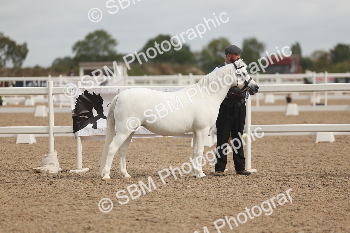 SBM_03159 - Class 16 - IH M&M Wildcard