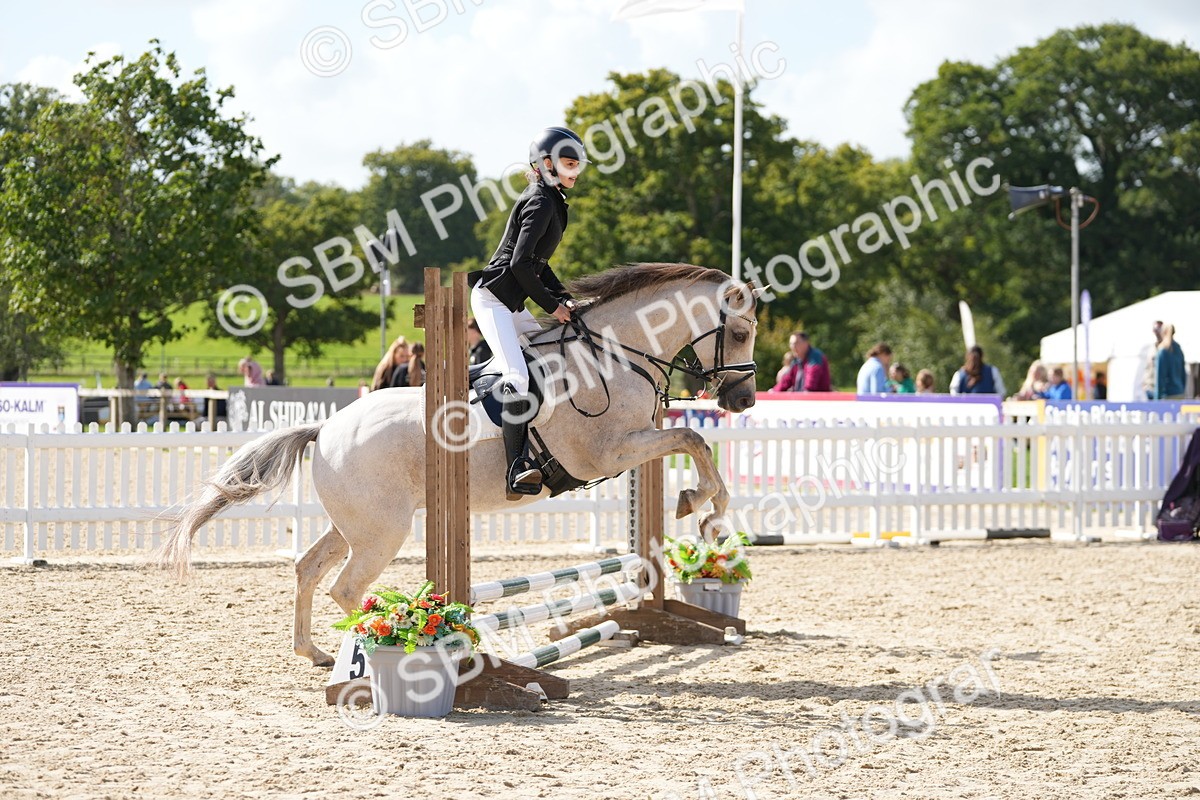 SBM_17841 - J58 - Clear Round 50cm