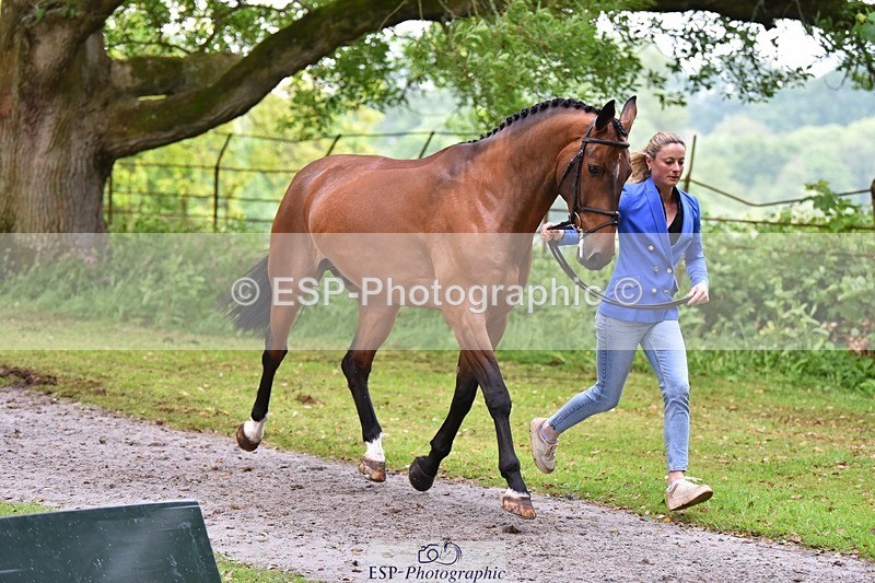 240522-172322-01569 - 278-DSH_MR_D-Caroline_Harris