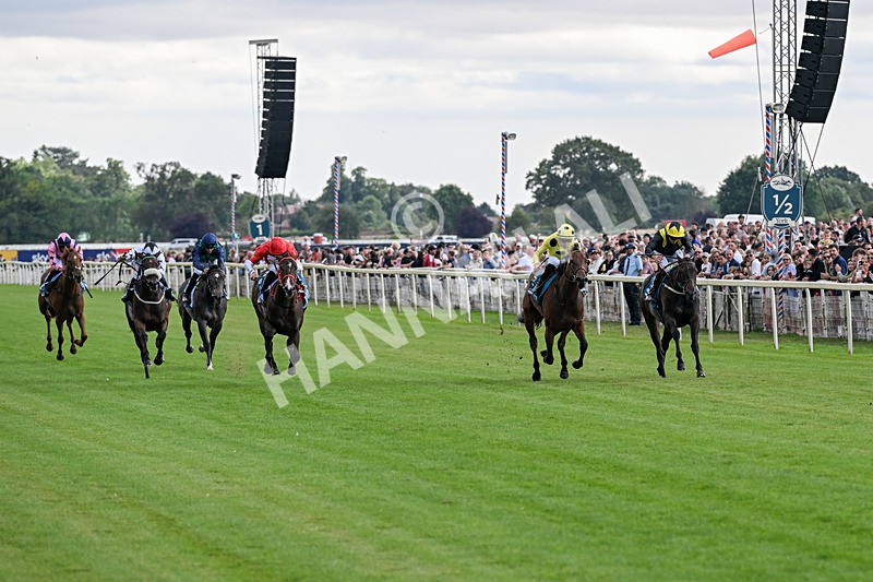 250726-Race 5-Rogue Jewel-7527 - Race 5 15.42pm Sky Bet Price Boosts EBF Fillies' Novice Stakes