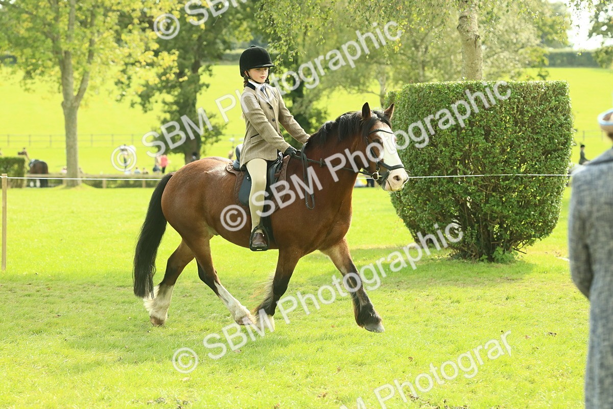 SBM_69065 - S58 - Mini Show Cob Ridden