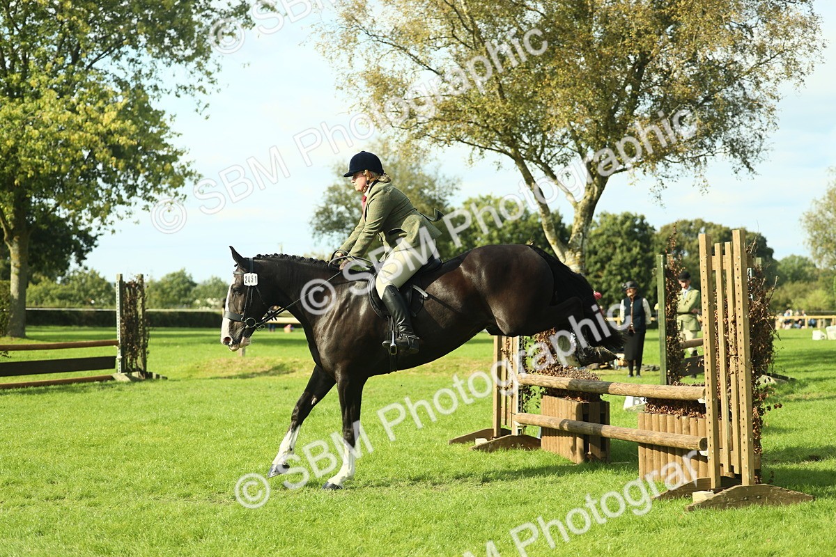 SBM_50622 - S33 - Working Hunter & Working Show Horse