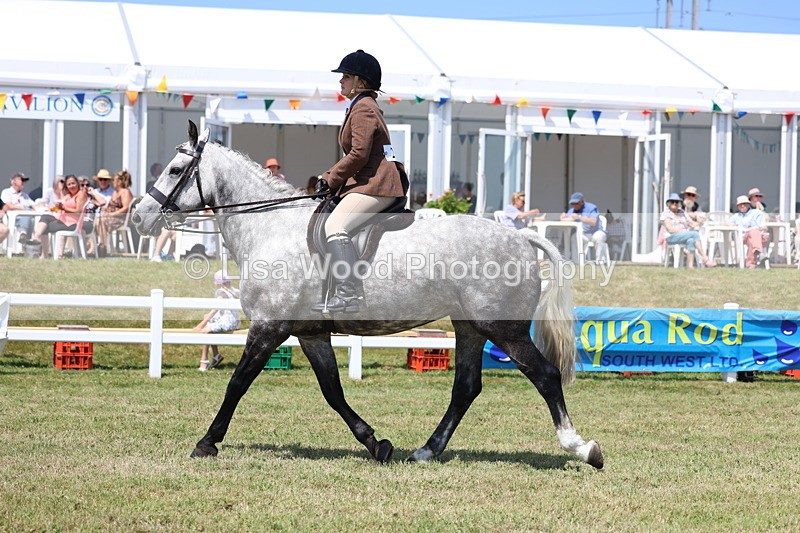 3E7A8324 - Class 9A: Open Small Hunter