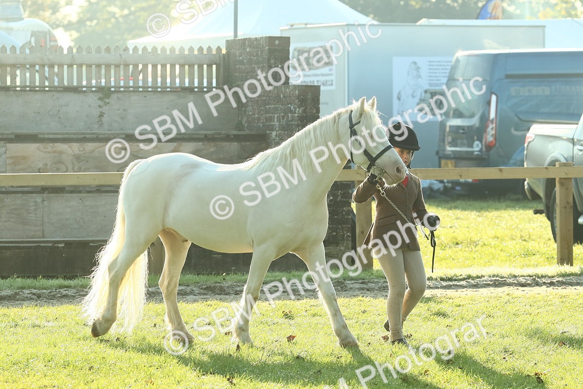 SBM_57377 - S37 - Starters In Hand Showing
