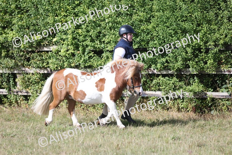 20250831-1613 - Class 22 - Mountain and Moorland Inhand