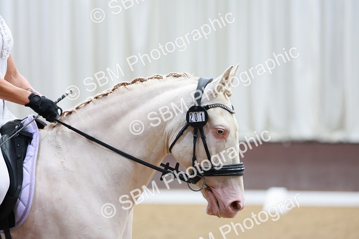 SBM_007557 - Prelim 5 - 12.16-14.11