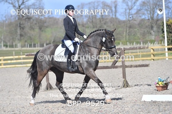 BPP_9529 - NOVICE 6