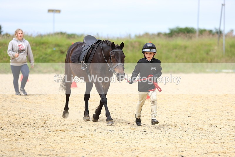 3E7A9377 - Walk trot run