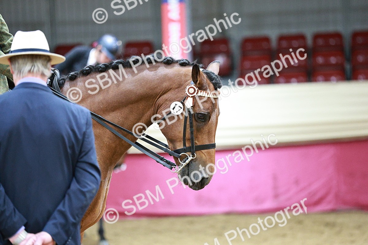 SBM_03535 - Class 6A Area Ridden Pre-Vet