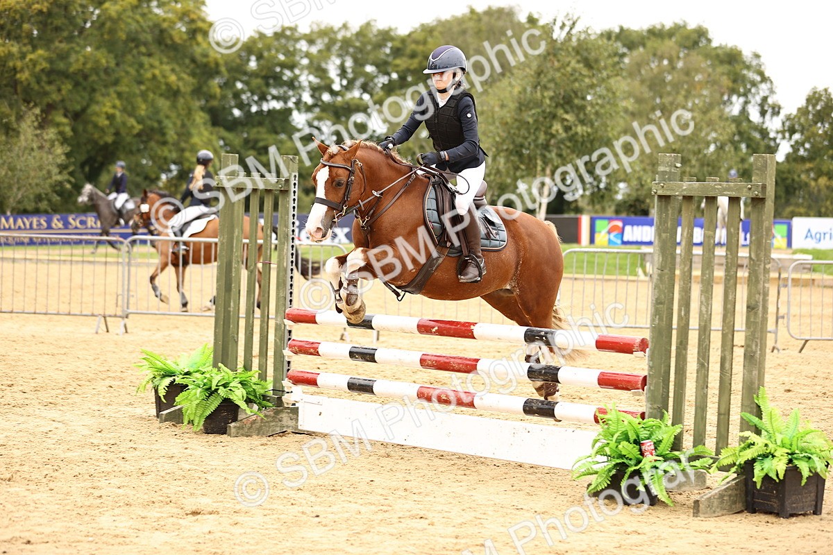 SBM_64869 - J17 - Junior Pony 80cm Championship