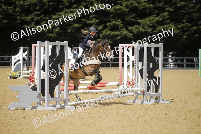 20250622-3898 - 50cm