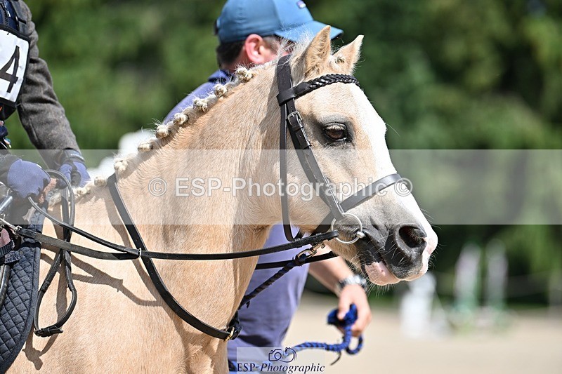 230824-140516-04095 - Round 1 Lead Rein 14.00 to End