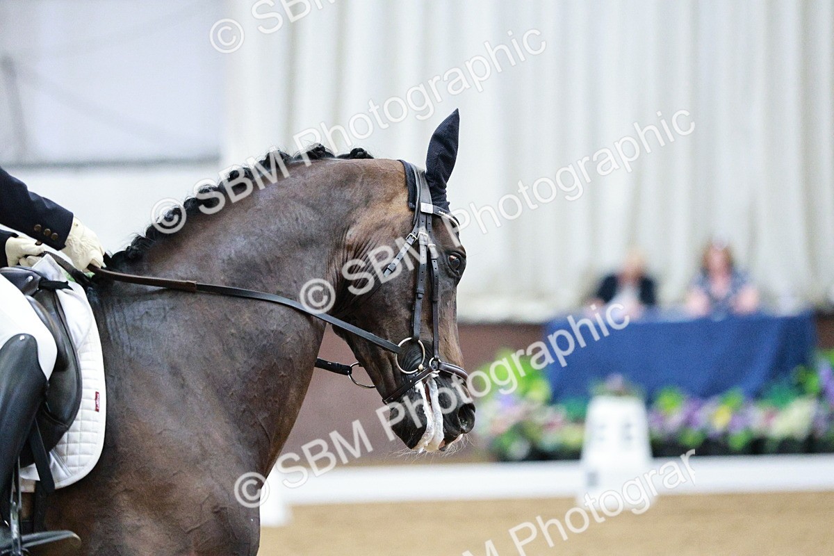 SBM_020545 - Class 13 - FEI INT I - 15.30-16.00