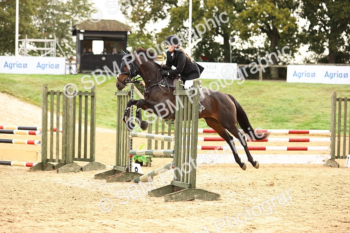 SBM_58457 - J41 - Grand Tour Horse & Pony 95cm