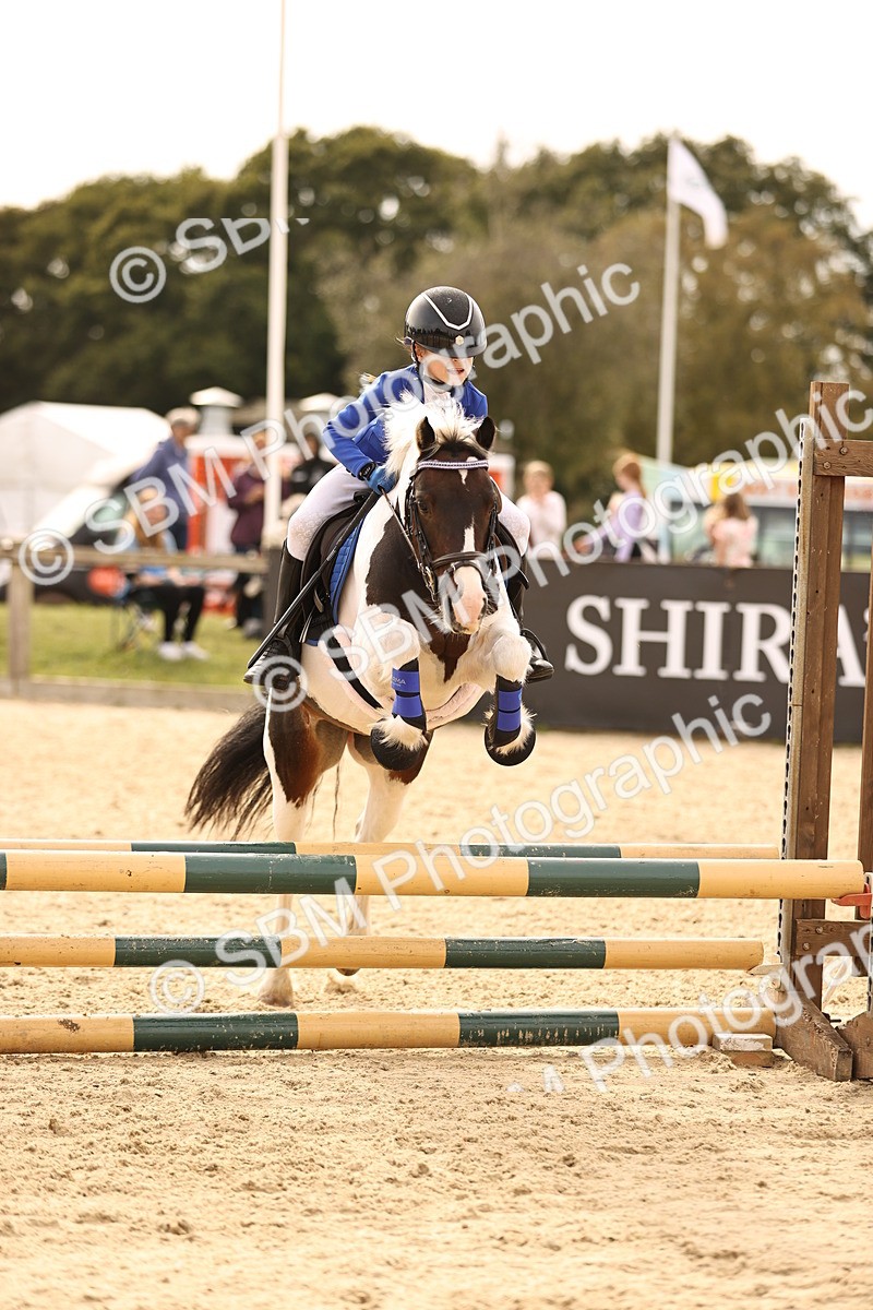SBM_70804 - J13 - Junior Pony 60cm Championship