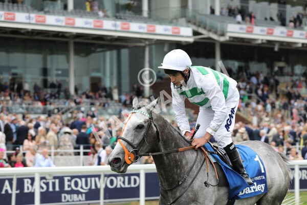 yr18082022r4-54 - Race 4 3.35pm Darley Yorkshire Oaks (British Champions Series Race)