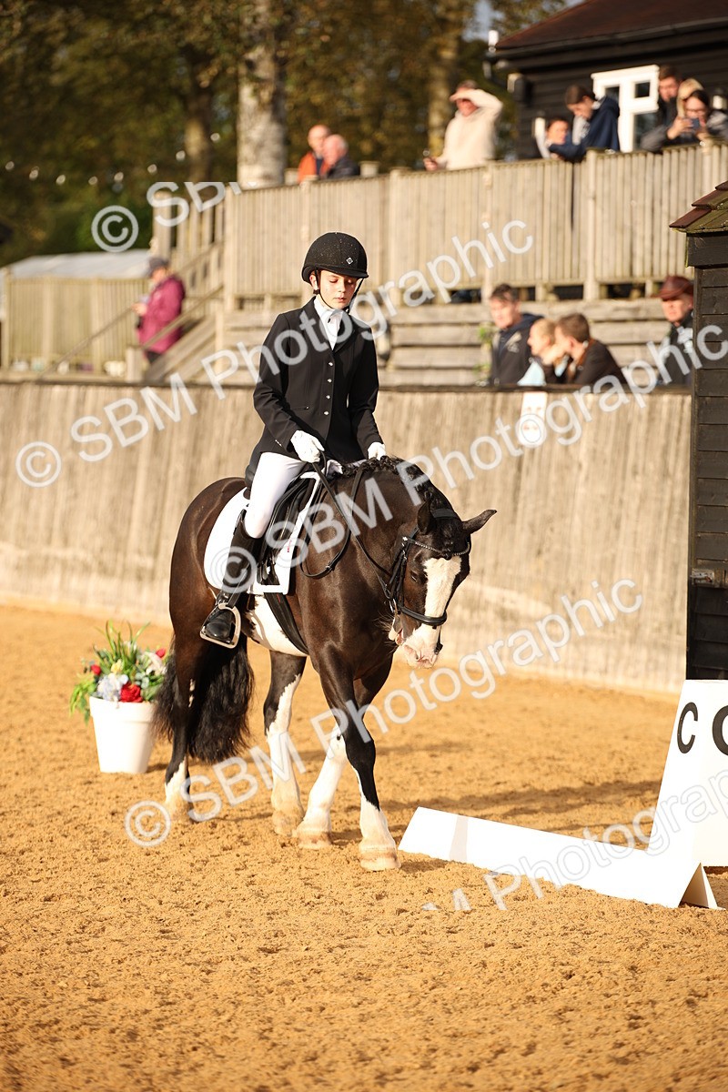 SBM_12416 - D3 Small  Tour Championship Intro A