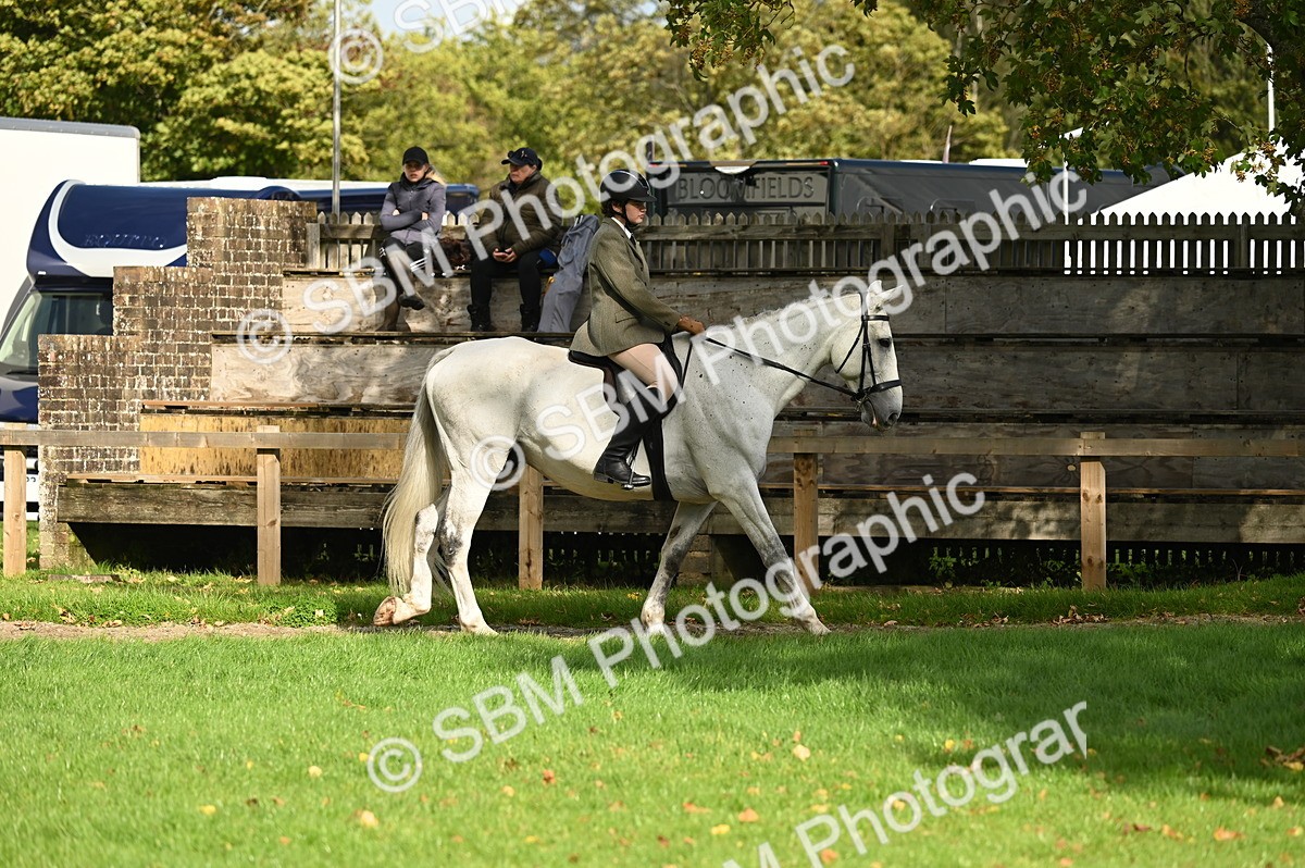 SBM_26297 - S6 - Novice & newcomer Ridden horse