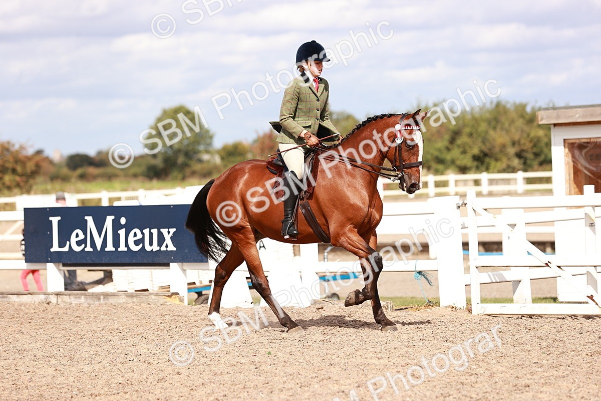 SBM_14435 - Class 410 - Grassroots Ridden - Horse