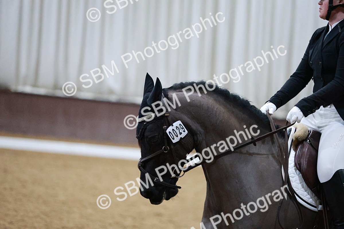 SBM_000569 - Class 7-6 - Novice 3-Novice 2