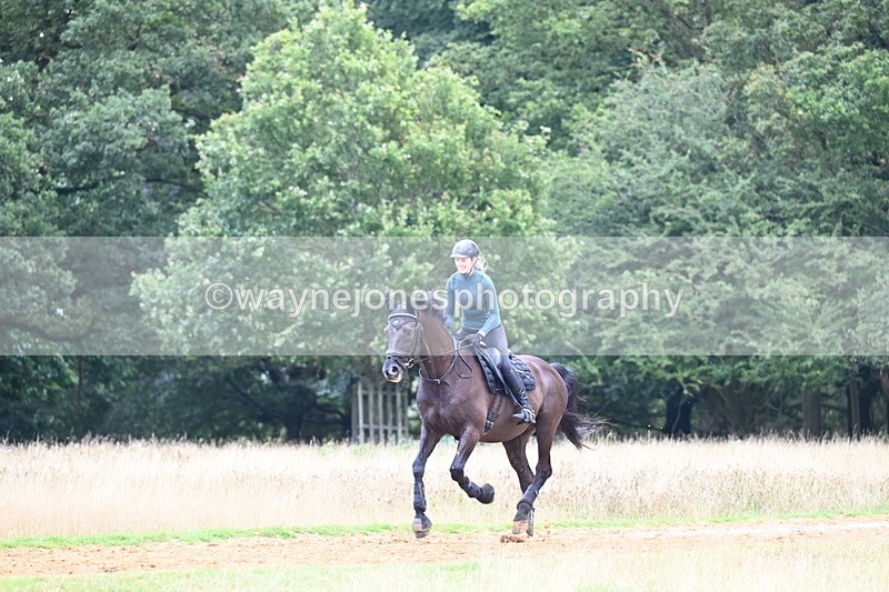 DSC_8409 - Time at Statue 13:52 to 14:33