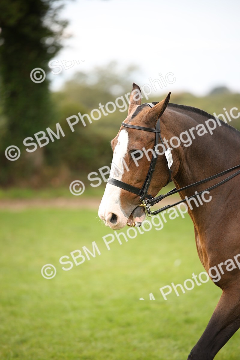 SBM_72380 - S67 - Show Cob Ridden