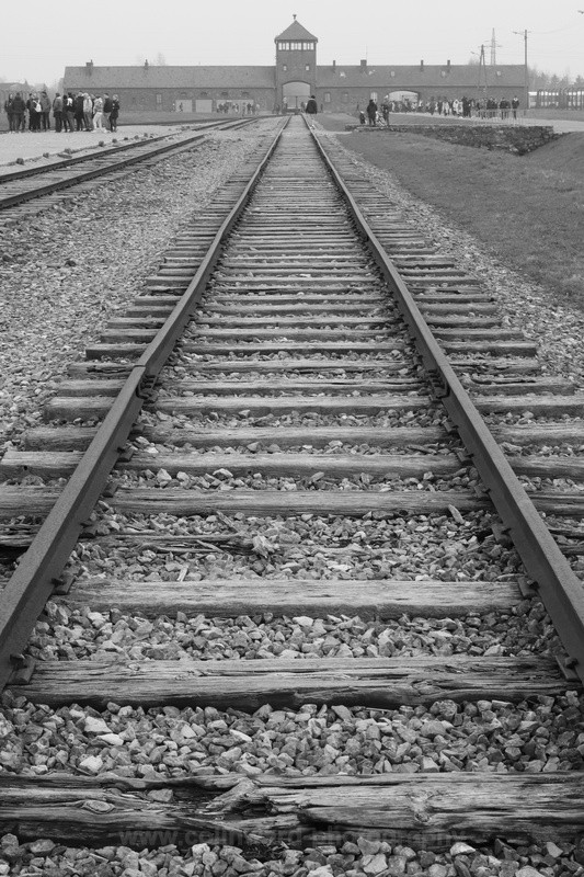 Black and White image of Auschwitz II-Birkenau - Europe