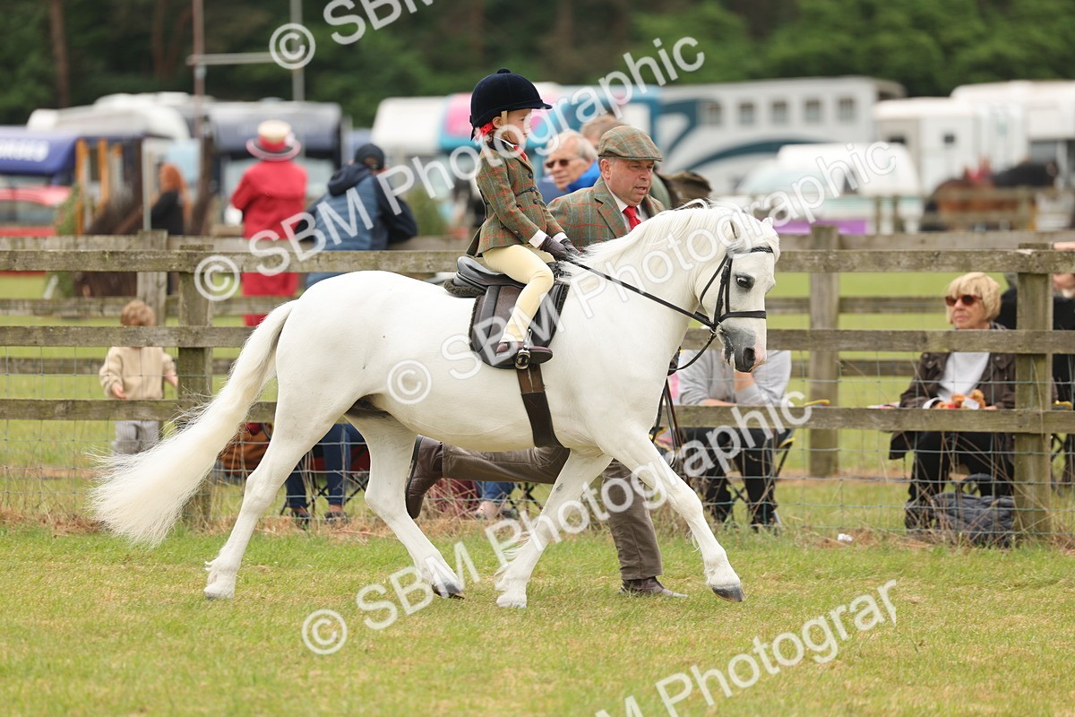 SBM_06681 - Class 74-75 - M&M Lead Rein and First Ridden Pony