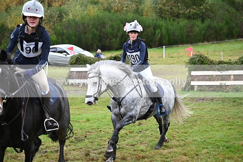 WJ6_3017 - 80cm Cam 1 Pairs Time 12:19 to 12:49