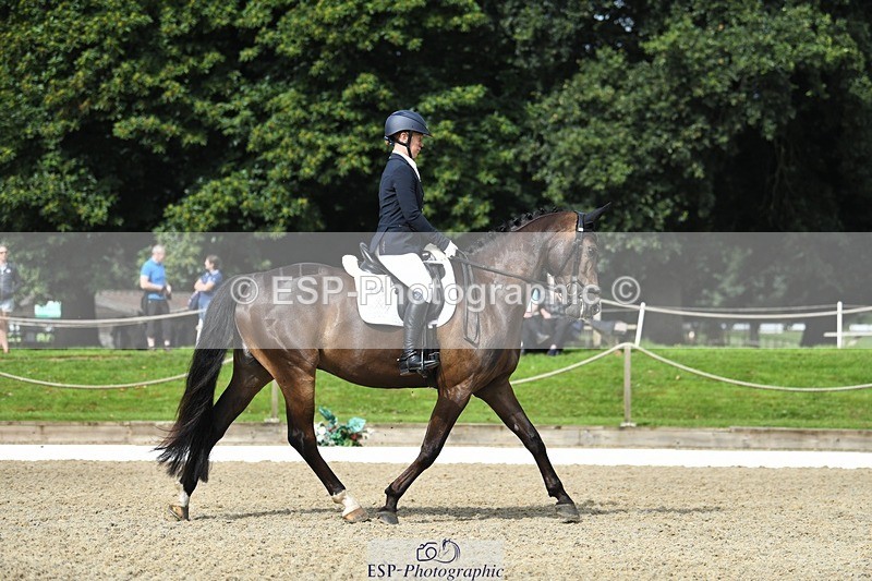 230812-104351-03448 - Cls 6 Novice Silver 10.30 to 11.55 break